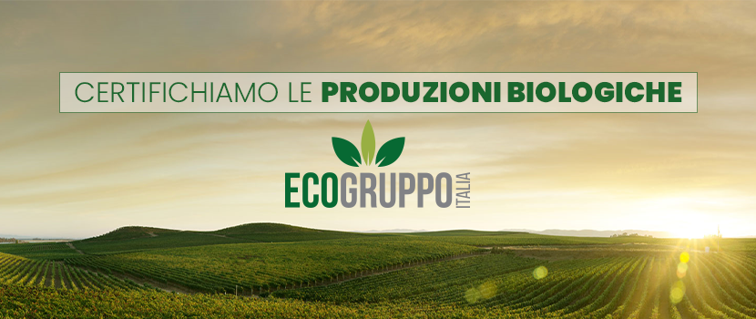 2 – Ecogruppo Italia