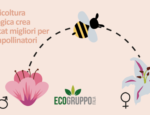L’agricoltura biologica crea habitat migliori per gli impollinatori