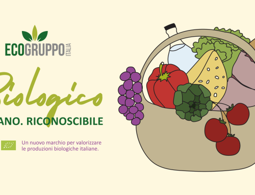 Marchio Biologico Italiano: Guida Completa alla Richiesta e all’Utilizzo del marchio
